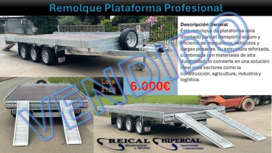 diapositiva74